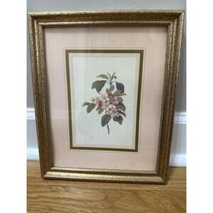 Vintage Framed Floral Print